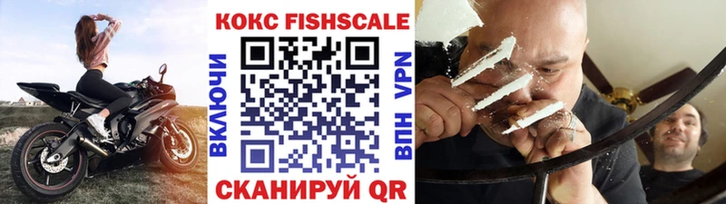 Купить закладки Сретенск COCAIN Fish Scale