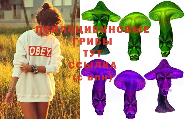 прущая мука Бугульма