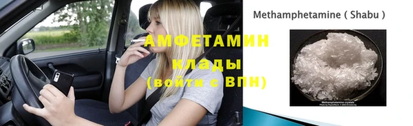 индика Бронницы