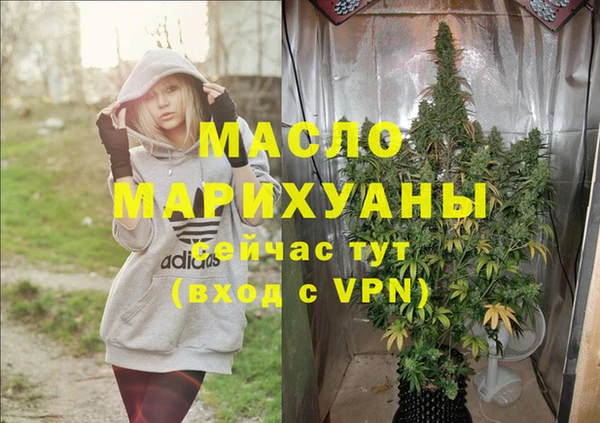 индика Бронницы
