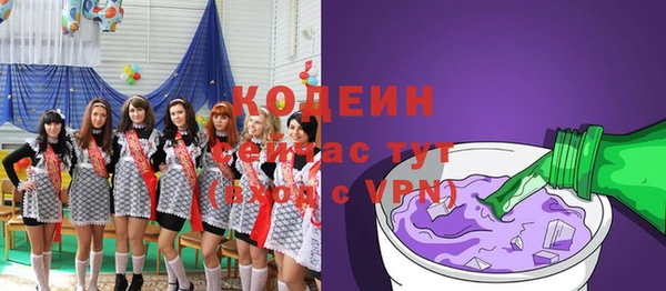 индика Бронницы