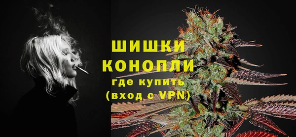 индика Бронницы