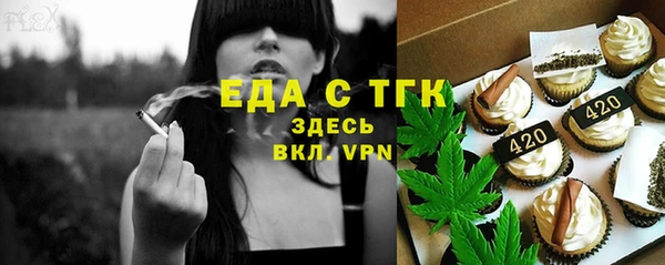 индика Бронницы
