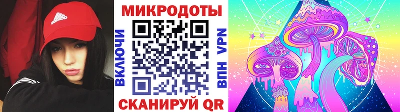 Галлюциногенные грибы Psilocybe  Купить  Сретенск 
